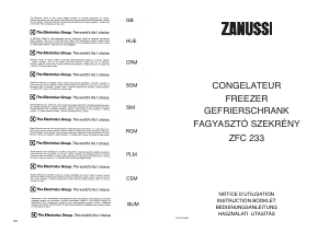 Mode d’emploi Zanussi ZFC 233 Congélateur