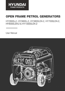 Bruksanvisning Hyundai HY2800L-2 Generator