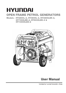 Bruksanvisning Hyundai HY3800LEK-2 Generator