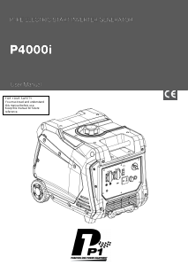Bruksanvisning Hyundai P4000i Generator