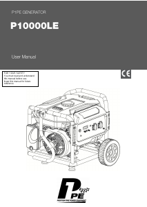 Bruksanvisning Hyundai P10000LE Generator