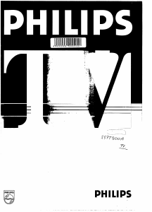 Mode d’emploi Philips 25PT900A Téléviseur