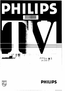 Mode d’emploi Philips 25PT900B Téléviseur