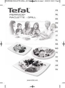 Manual de uso Tefal RE300112 Pierrade Raclette grill