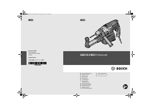 Bruksanvisning Bosch GSB 19-2 REA Professional Slagdrill