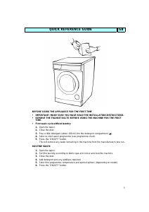 Manual Bauknecht WA 2108 Washing Machine