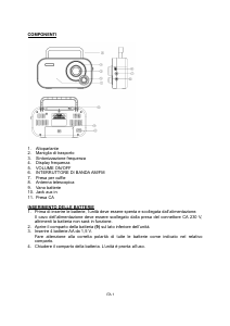 Manuale Denver TR-54C Radio