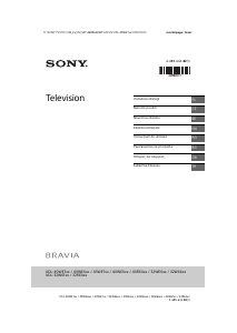 Használati útmutató Sony Bravia KDL-32W6100 LCD-televízió
