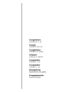 Handleiding Indesit OFNAA 305 Vriezer