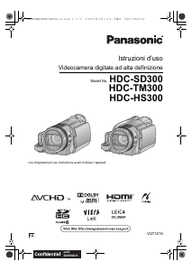 Manuale Panasonic HDC-SD300 Videocamera