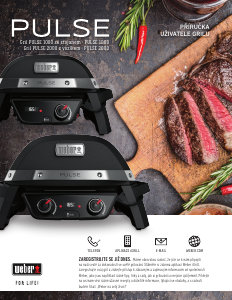 Manuál Weber Pulse 1000 Gril