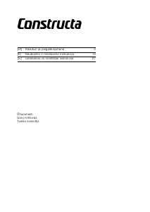Vadovas Constructa CD639253 Gartraukis