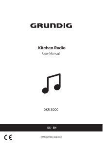 Manual Grundig DKR 3000 BT DAB+ WEB Radio