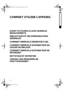 Mode d’emploi Bauknecht GSI 5599/1 G WS Lave-vaisselle