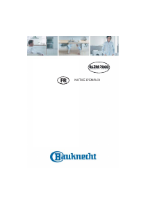 Mode d’emploi Bauknecht BLZM 7060 IN Four