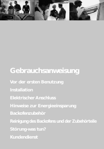 Bedienungsanleitung Bauknecht BMZE 4006 WS Backofen
