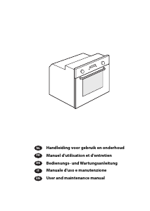 Manuale Indesit IFV 221 IX Forno