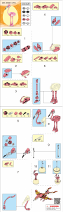 Bedienungsanleitung Sluban set M38-B0969S Qbricks Egg Flamingo