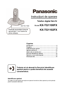 Manual Panasonic KX-TG1100FX Telefon wireless