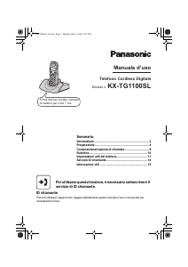 Manuale Panasonic KX-TG1100SL Telefono senza fili