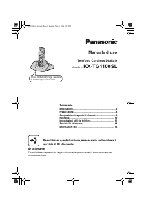 Manuale Panasonic KX-TG1100SLE Telefono senza fili