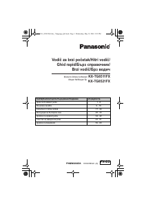 Manual Panasonic KX-TG8511FX Telefon wireless