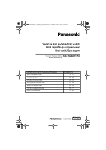 Manual Panasonic KX-TG8611FX Telefon wireless