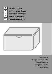 Manuale Gorenje FHE151W Congelatore
