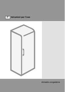 Manuale Gorenje FN6192CW Congelatore