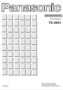 Bedienungsanleitung Panasonic TX-25X1 Fernseher
