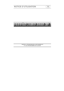 Mode d’emploi Smeg ST12AABDT Lave-vaisselle