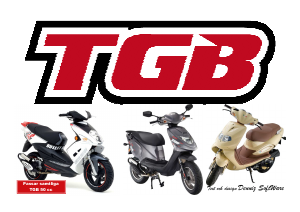 Bruksanvisning TGB Delivery 50cc Skoter