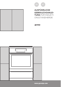 Bedienungsanleitung Gorenje EIT6355XPD Herd