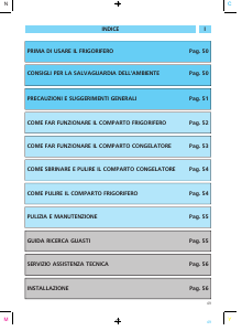Manuale Ignis DPA 261/G/1 Frigorifero-congelatore