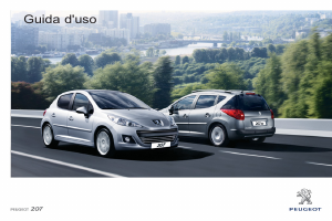 Manuale Peugeot 207 (2011)