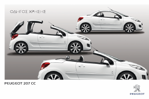 Εγχειρίδιο Peugeot 207 (2014)