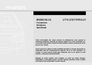 Manual Hyundai ix35 (2010)